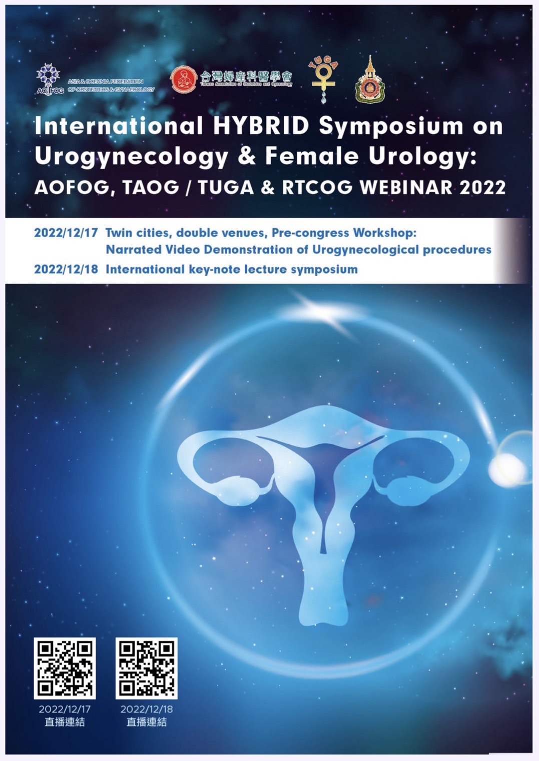 internationalhybridsymposiumonurogynecologyandfemaleurology