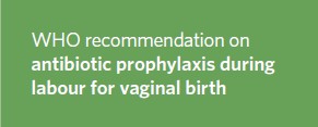 antibiotic-prophylaxis-during-labour-for-vaginal-birth